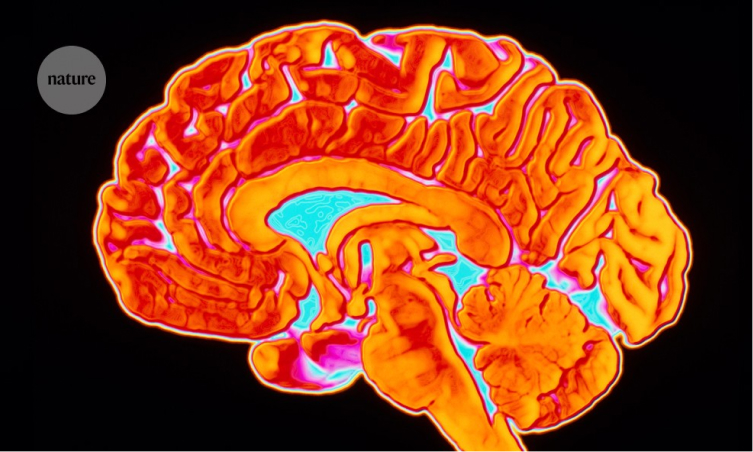 First Map of Human Brain Mitochondria is ‘Groundbreaking’ Achievement